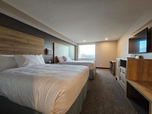 Standard Double Room with City View
