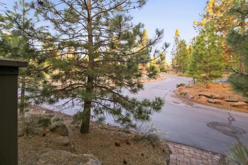 Big Canyon - image 3