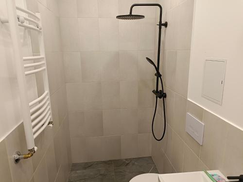 New Gray apartment in the center of Riga, Rīga (photo 8)