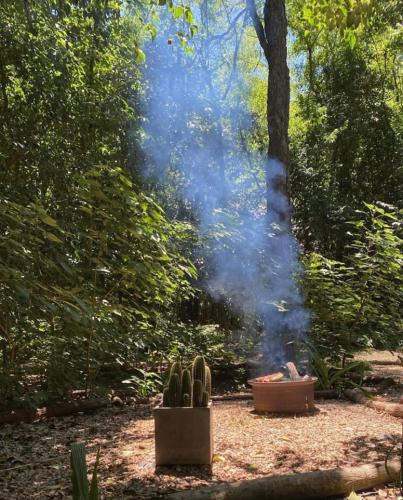 Forest Glam in San Andres de Giles