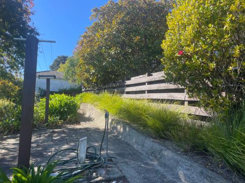 Tiro Moana (Sea Views)