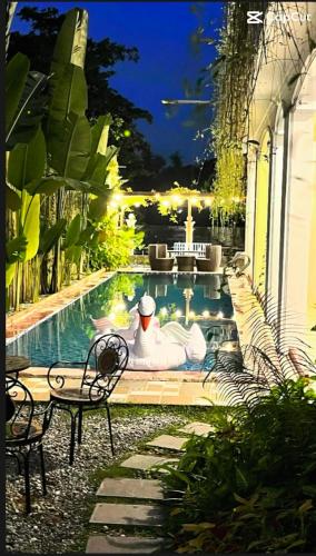 DKD TRIO HOTEL HUE - 수영장