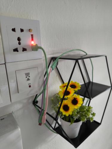 LittleBee Homestay KT - Tap to explore photos