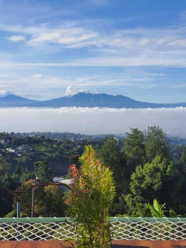 Garden, Tepas Glamping in Bandung