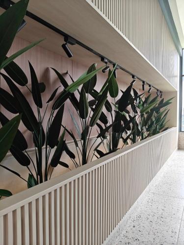 Cubic Botanical Cozy & Modern Perfect Getaway Cubic Botanical Cozy & Modern Perfect Getaway