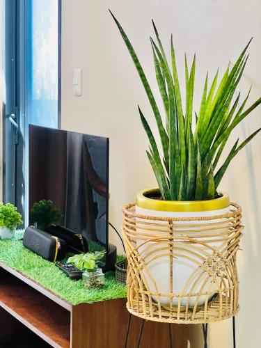 56sqm 2BR Condo at Mactan Newtown Pool and Beach Access! 56sqm 2BR Condo at Mactan Newtown Pool and Beach Access!