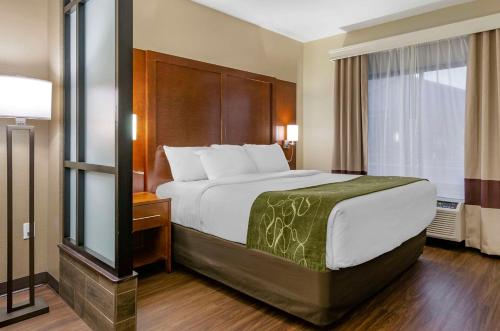 King Suite - Non-Smoking/Pet Friendly