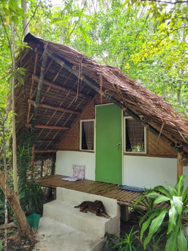 Lazy Lizard Hostel Room Type - Bungalow with Fan