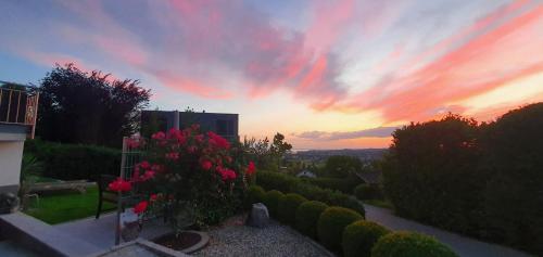 F E R I E N W O H N U N G "Am Halbenstein" mit Garten