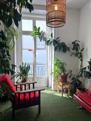 Living Lounge Hostel 2