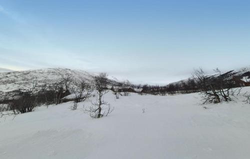 4 Bedroom Stunning Home In Vøringsfoss