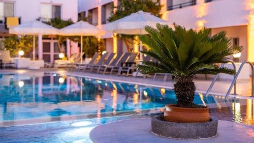 Tangiers Hotel Yalikavak - 수영장