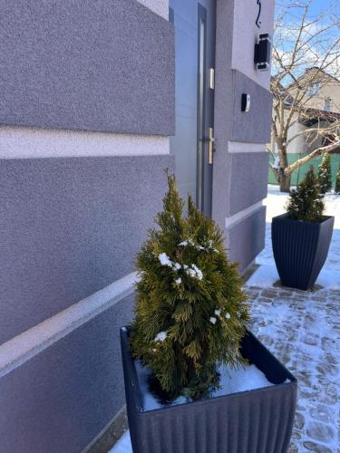 Mały Apartament - Wierzbiny numer 2 (Maly Apartament - Wierzbiny numer 2) in Ожиш