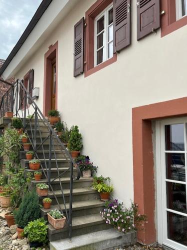 Kulturvogtei Freiburg-Tiengen in Freiburg im Breisgau, Deutschland