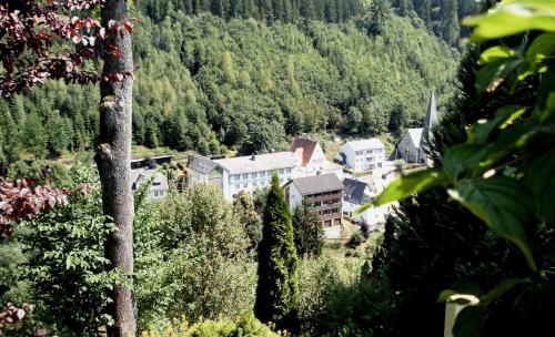 Accommodation in Schwarzenbach am Wald