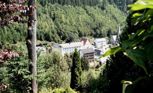 B&B Schwarzenbach am Wald - Gasthof Rodachtal mit Gästehaus Katharina - Bed and Breakfast Schwarzenbach am Wald