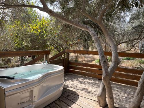 Desert Estate Carmey Avdat in Sde Boker