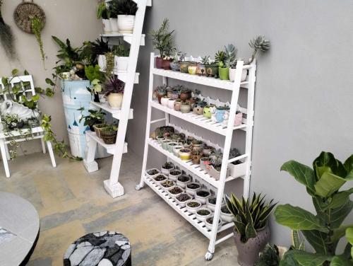 阳台民宿 16 Terrace 阳台民宿 16 Terrace