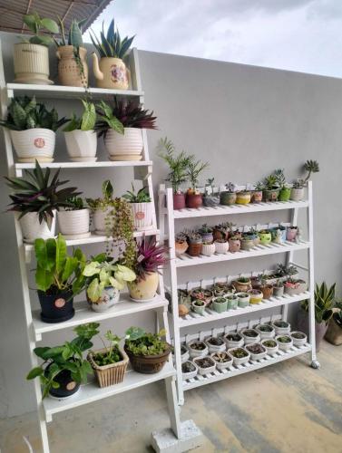 阳台民宿 16 Terrace 阳台民宿 16 Terrace