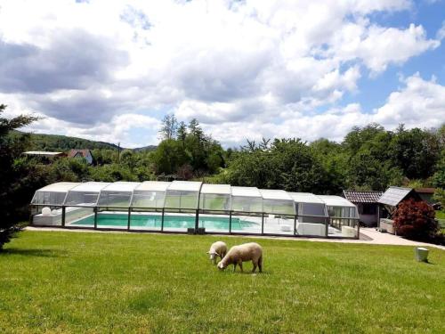 Les Papillons in Dinsheim-sur-Bruche
