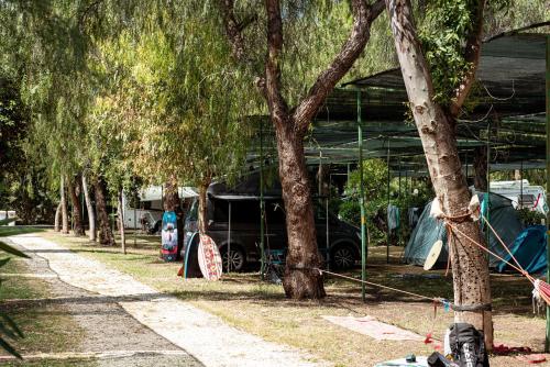 Villaggio Camping Spiaggia Lunga - image 11