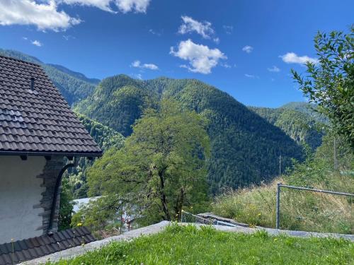 Wild Valley Serenity in Valle Onsernone in Onsernone