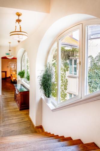 The Dominican - image 4