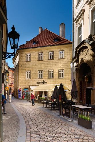 The Dominican - image 8