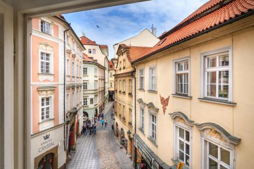 The Dominican - image 14