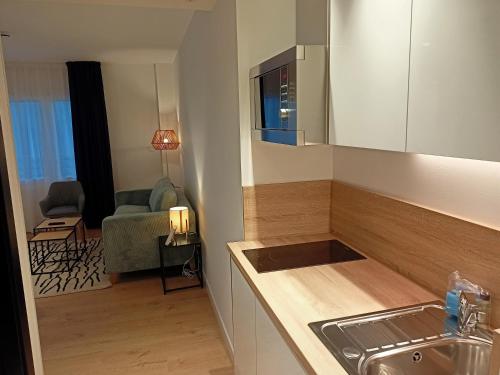 Superior Apartment room in abba Apartments Playa de Gros San Sebastián