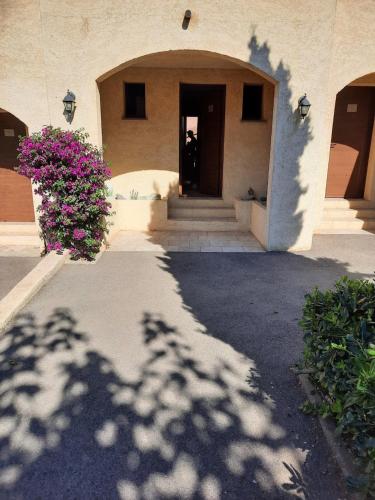 入口, La Casa ISAIA, Cap Corse in 西斯科