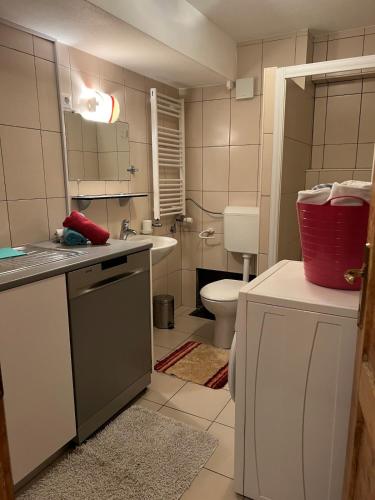 Cosy apartment in Ljubljana in Medno