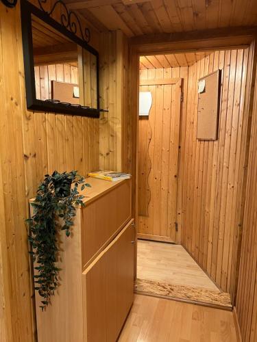Cosy apartment in Ljubljana in Medno
