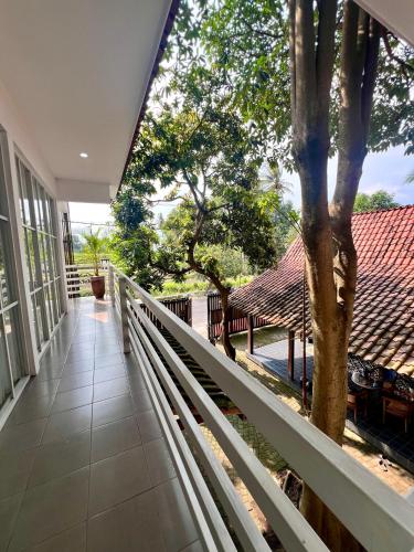 Buitenkant, PaddyView by Zzz in Banyuwangi