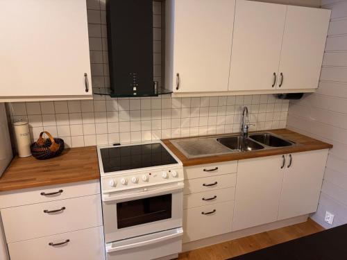 2 roms kjellerleilighet med separat soverom in Gaupne