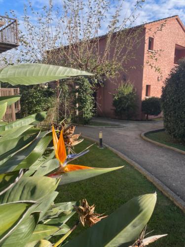 外部景觀, La Casa ISAIA, Cap Corse in 西斯科