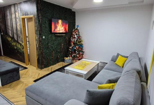 Apartman Teddy12-Vlašić (Apartman Teddy12-Vlasic) in Šišava