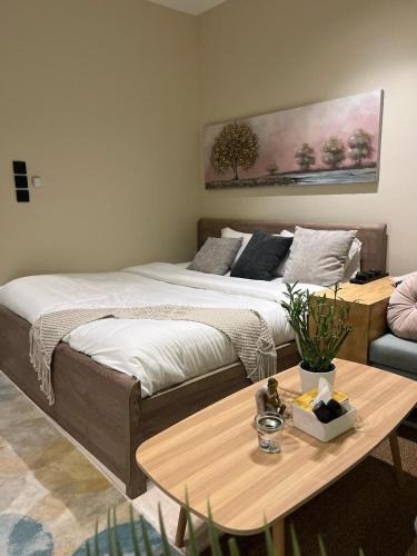 Exceptional studio, Riyad