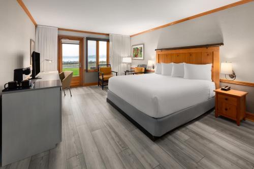 1 king bed