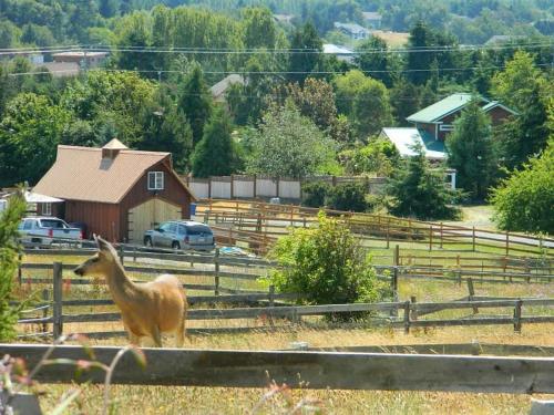 SQ Olympic-View-Cottage - image 5