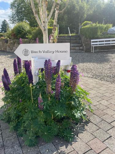 . Birch Valley Accommodation Tinahely Wicklow Ireland