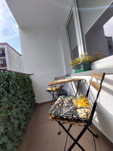 Apartament nad Małym Jeziorakiem