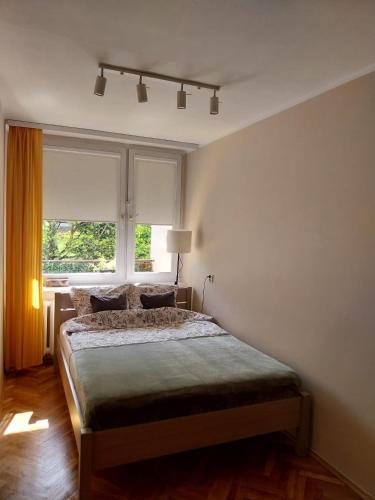 Apartament nad Małym Jeziorakiem