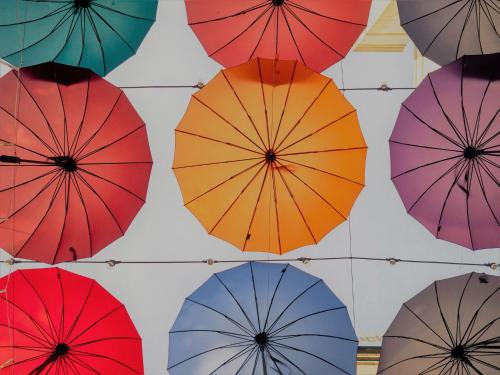 Hotel Indigo Chattanooga - Downtown an IHG Hotel - image 6