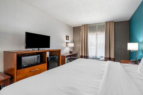 Comfort Inn Plainfield - image 14