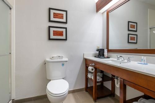 Comfort Inn Plainfield - image 8