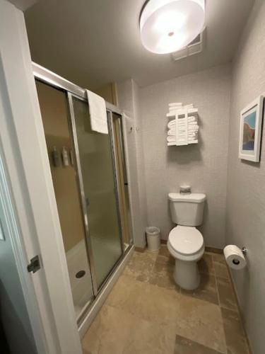 Hampton Inn Montrose - image 10