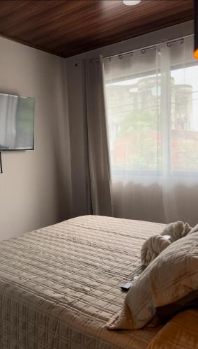 Cachorro, Puntarenas in Puntarenas Városközpont