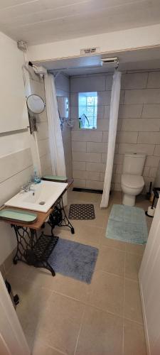 Quarvue Loft in Ballymascanlan