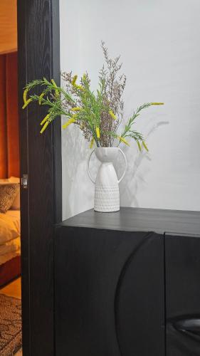One-Bedroom Apartment image 8